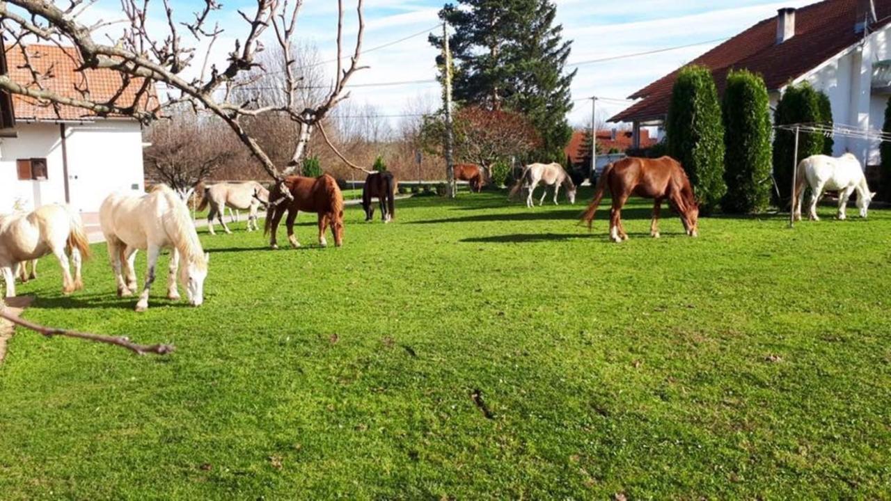Hotel Ranch Terra Irinovac Exterior foto